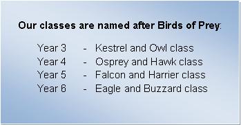 Class Names