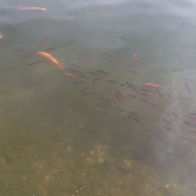 DSCF8035