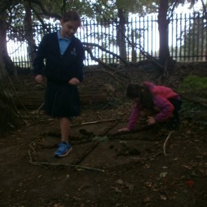 Woodland art-Snowdon Class