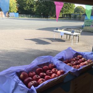 School Council Tuck Shop