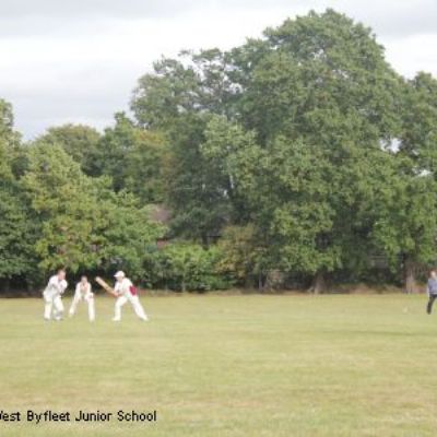 Cricket