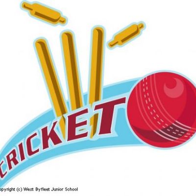 cricket-ball-hitting-bowling-over-wicket-by-patrimonio-qpps_6041160199440917.LG.jpg