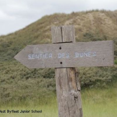 To the sand dunes