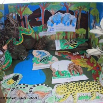 Year 5 Rainforests Project