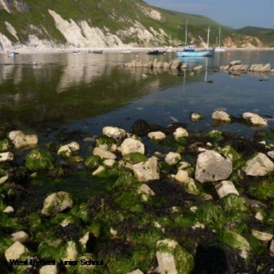 Osmington